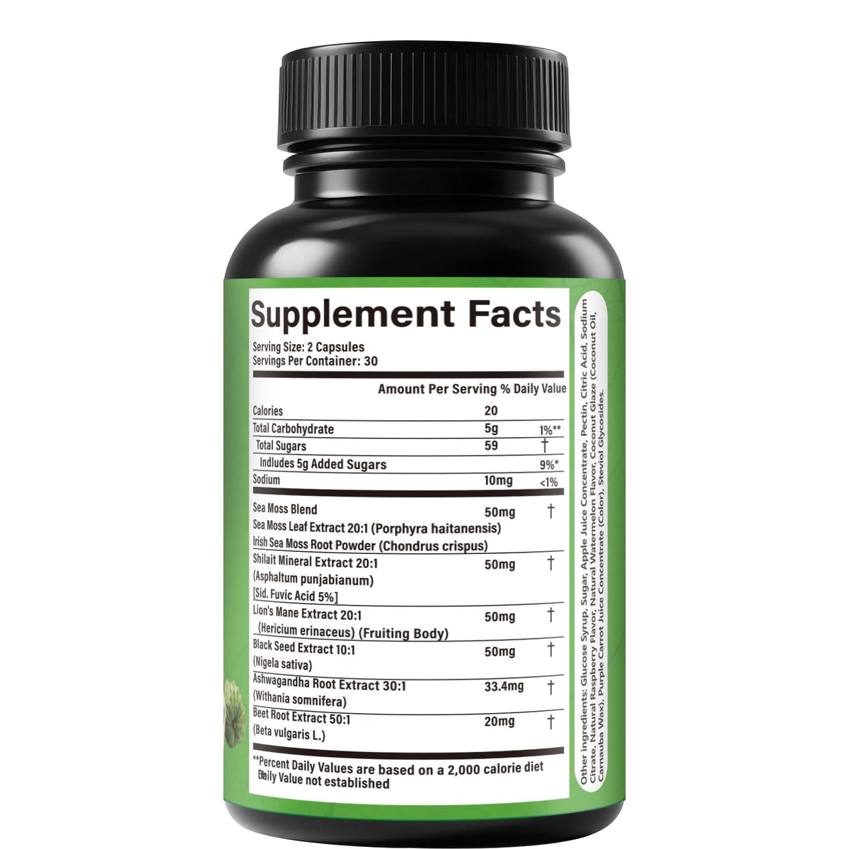 Soursop Capsules with 24-in-1 Herbal Blend - Includes Graviola, Shilajit, Sea Moss, Lions Mane, Turmeric, Ashwagandha, Ginger, Manuka Honey - Vegan, Non-GMO Dietary Supplement - 60 Capsules (01)