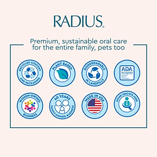 RADIUS Toothbrush, Original Big Brush with Replaceable Head, Right Handed, Midnight Sky/Marble/Soda Pop, BPA Free & ADA Accepted, Pack of 3