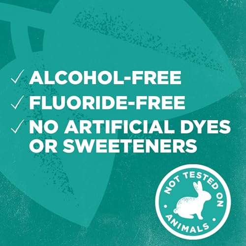 Tom's of Maine Natural Wicked Fresh Alcohol-Free Mouthwash, Cool Mountain Mint, 16 oz. 6-Pack (Packaging May Vary)