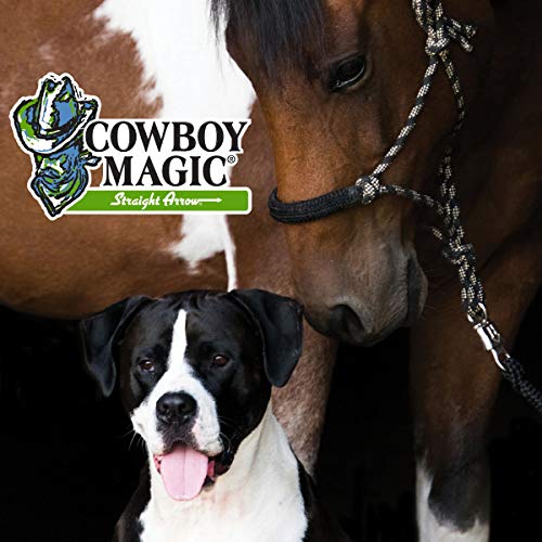 Cowboy Magic Shine In Yellowout Purple Shampoo 16 oz