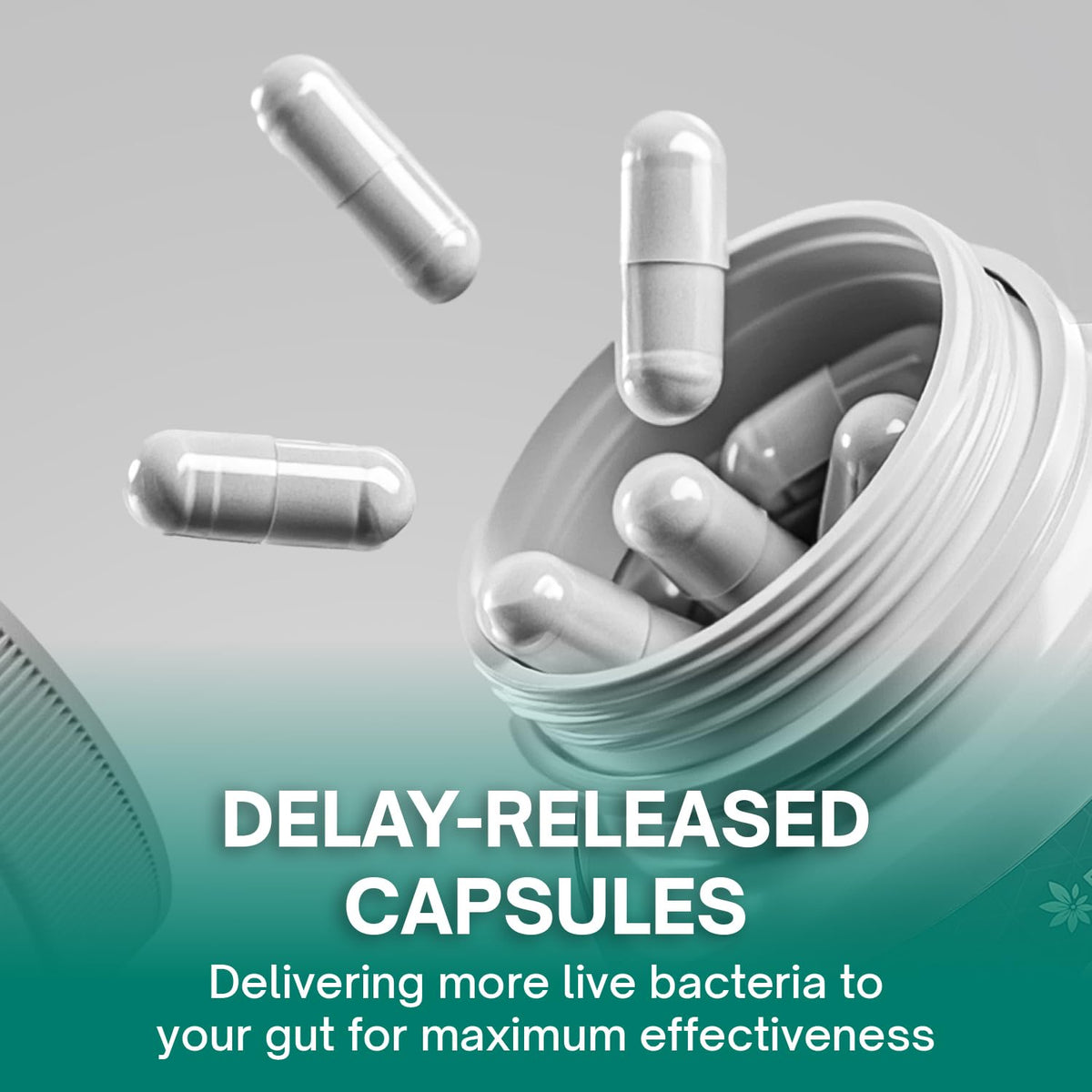 Christensenella & Akkermansia, 8 Probiotic Strains, 45-Day Supply
