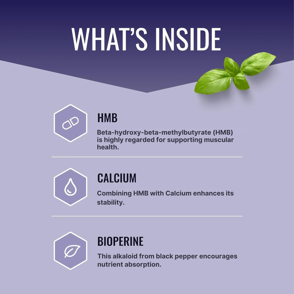 Approved Science HMB - 1500mg High Potency HMB Supplement with Calcium & BioPerine for Absorption - Muscle Health & Exercise Performance - 60 Vegan Capsules - Pack of 3