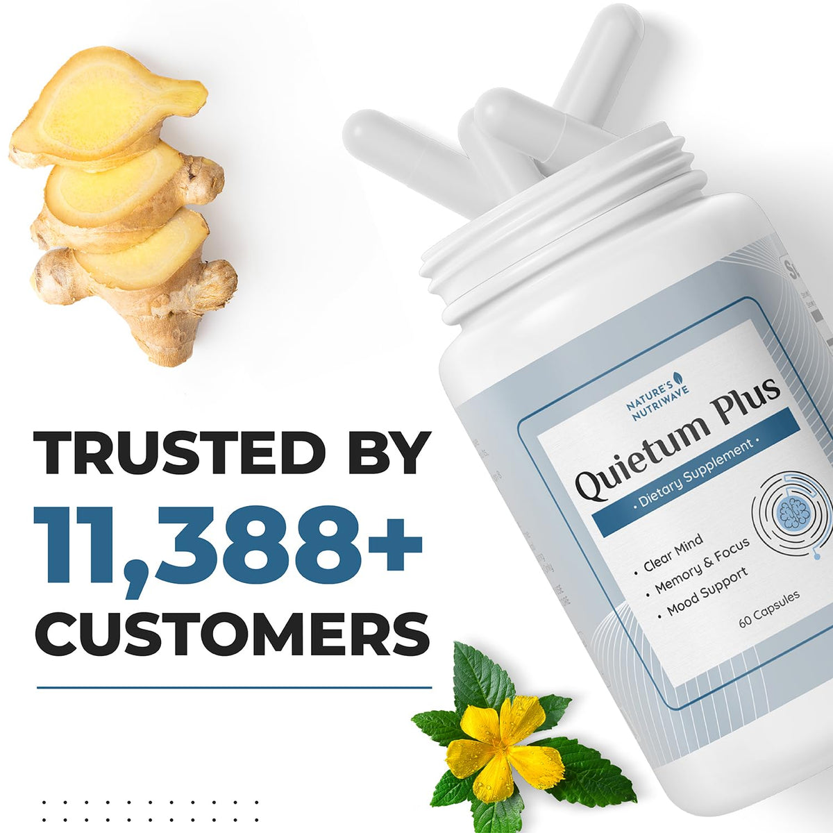 Quietum Plus – Herbal Extract Capsules – 60 Ct, 6 Month Supply