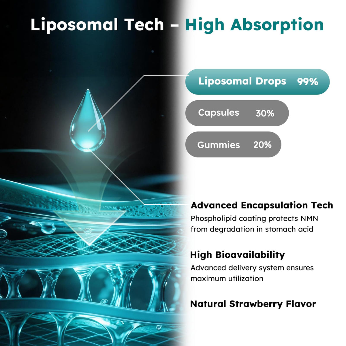 Scibalia Liposomal NMN 1000 mg Liquid Drops with Resveratrol & TMG
