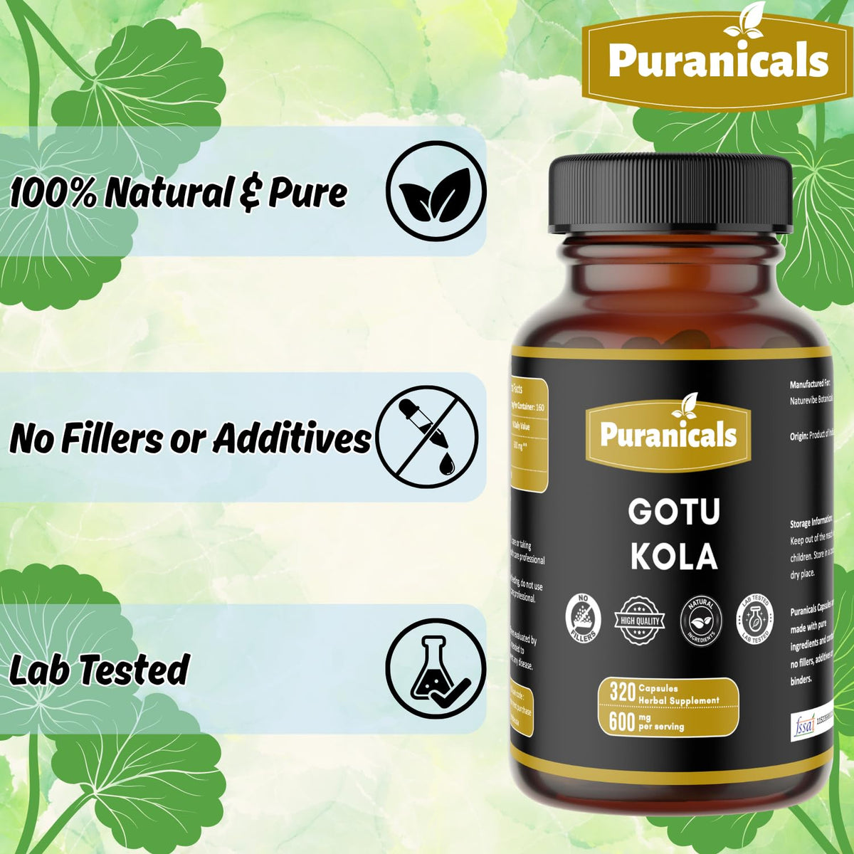 Puranicals Gotu Kola Premium 320 Capsules Non GMO and Gluten Free | Herbal Supplement | 600 mg Per Serving | Made with 100% Pure Gotu Kola Powder