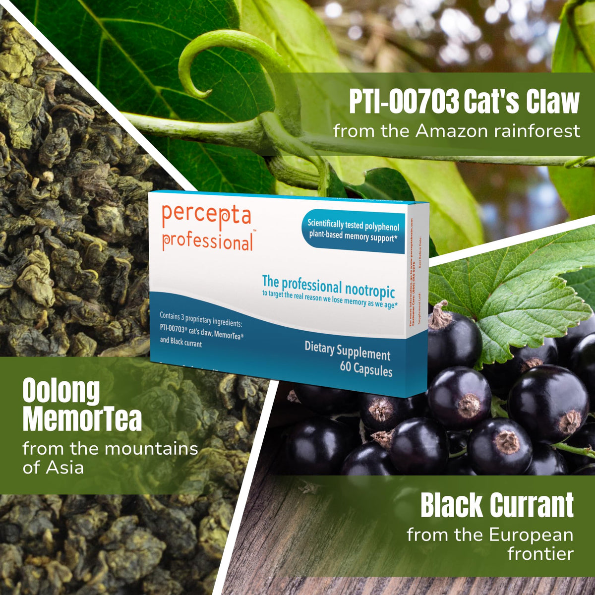 Percepta Professional Brain Supplement
