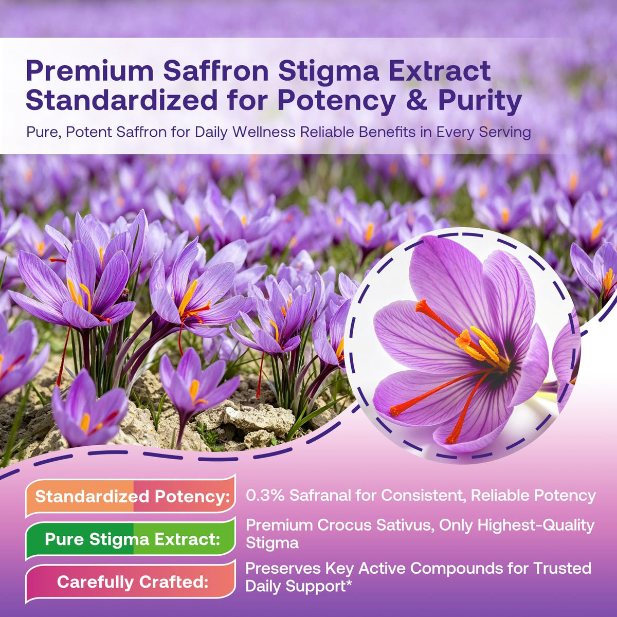 CNCHEF Saffron Gummies 88.5 mg with Magnesium, B6, D3 & Lutein – 60 Count