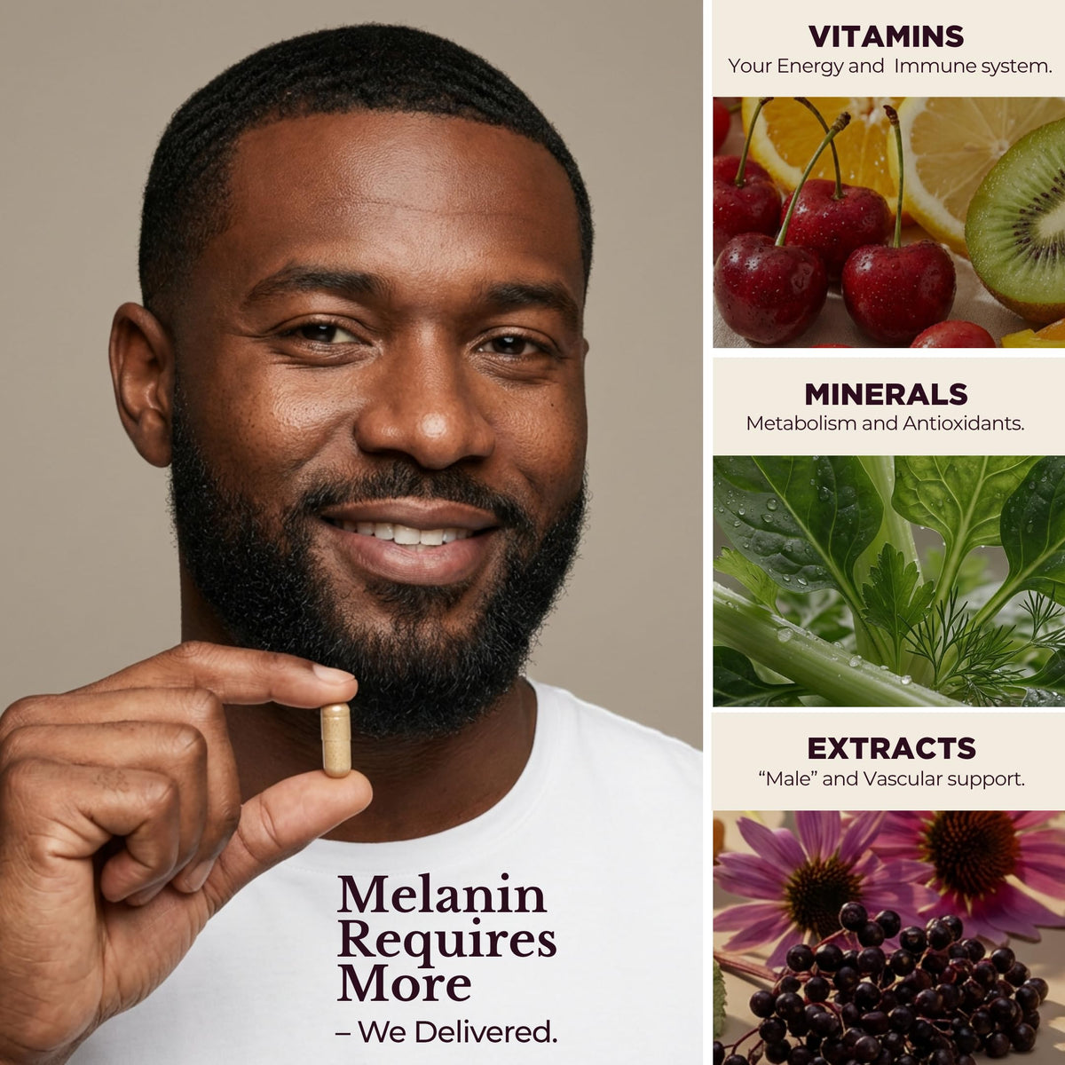 TODICAMP Melanin-Rich Multivitamin for Men - Mens Daily Multivitamins, Men's Multivitamin Capsules with B Complex Vitamins, Vitamin D, Zinc, Saw Palmetto & Antioxidants, 2 a Day, 60 Capsules