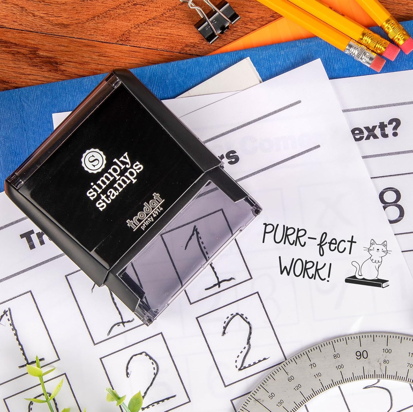 Custom Purr-FECT Work! Stamps | 49 Designs | Fun Phrases | Grading Made Easy | Self-Inking Classroom, Library & Book Stamps (Xtra Large)