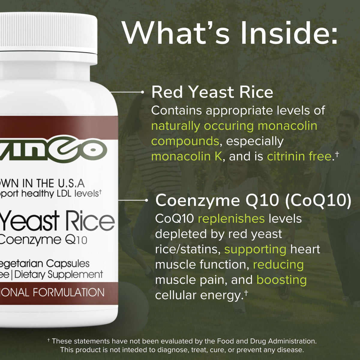 Vinco Inc– Red Yeast Rice with Coenzyme Q10 Dietary Supplement | (120 Capsules) | Supports Healthy Cholesterol, Heart Function & Circulation | Grown in the USA | Gluten Free