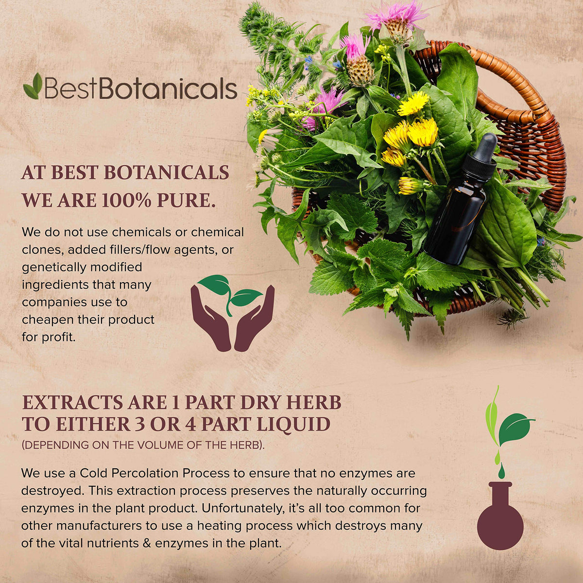 Best Botanicals Eyebright Herb Powder 16 oz.