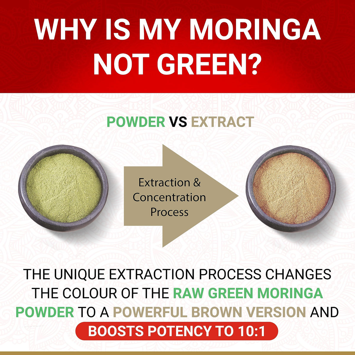 USDA Organic Moringa Capsules | Moringa Organic Pure Tablets | Vegan Premium Herbal Supplement from 10:1 Leaf Extract | Natural Plant-Based Support | 60 Capsules